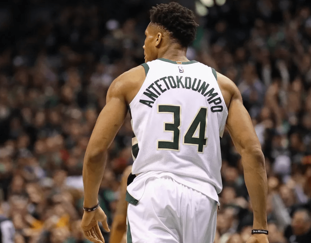 豪门与黑马 豪门与黑马