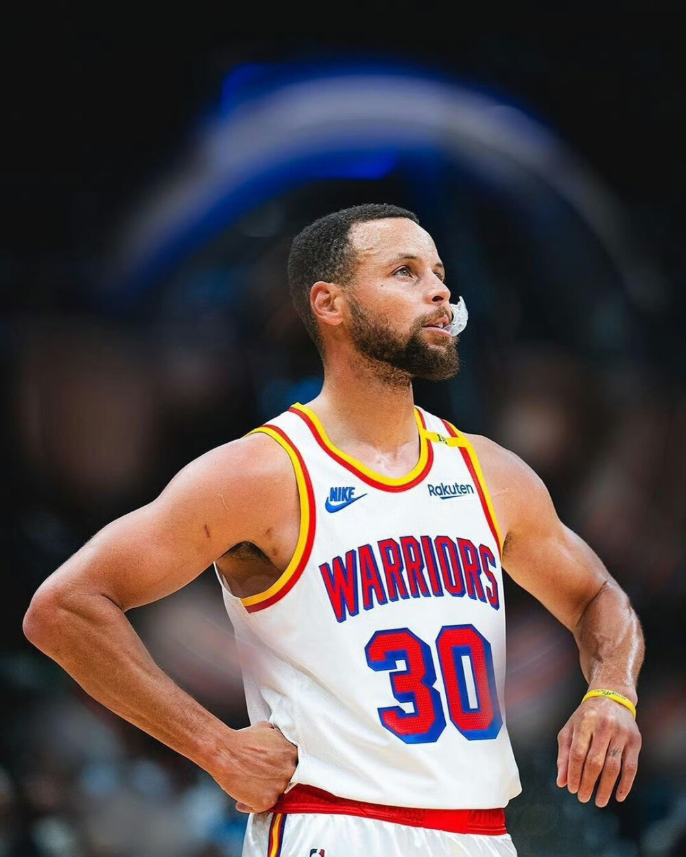 巴西等市场 巴西等市场