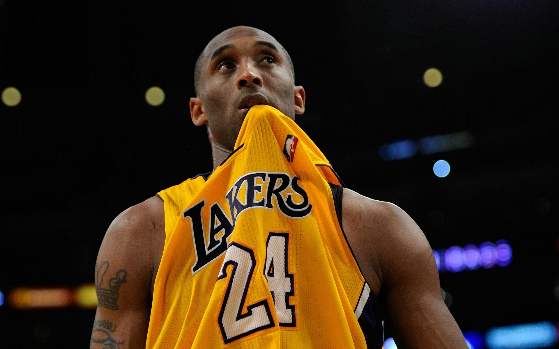 肋部双通道 肋部双通道