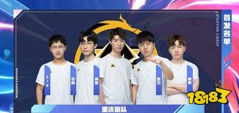 脉络